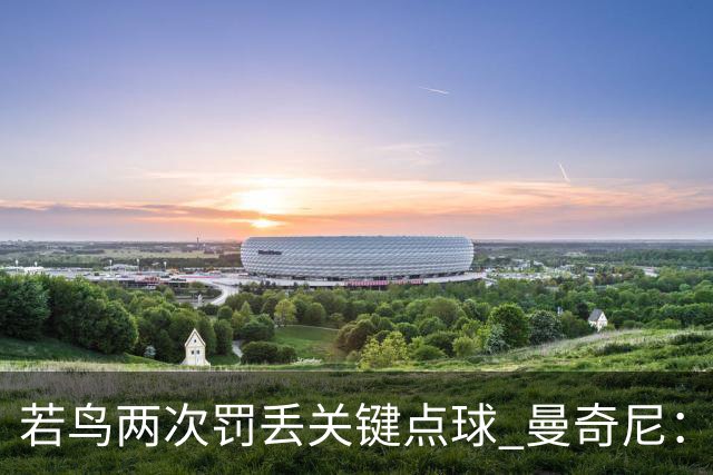 若鸟两次罚丢关键点球 曼奇尼：附加赛还是他主罚